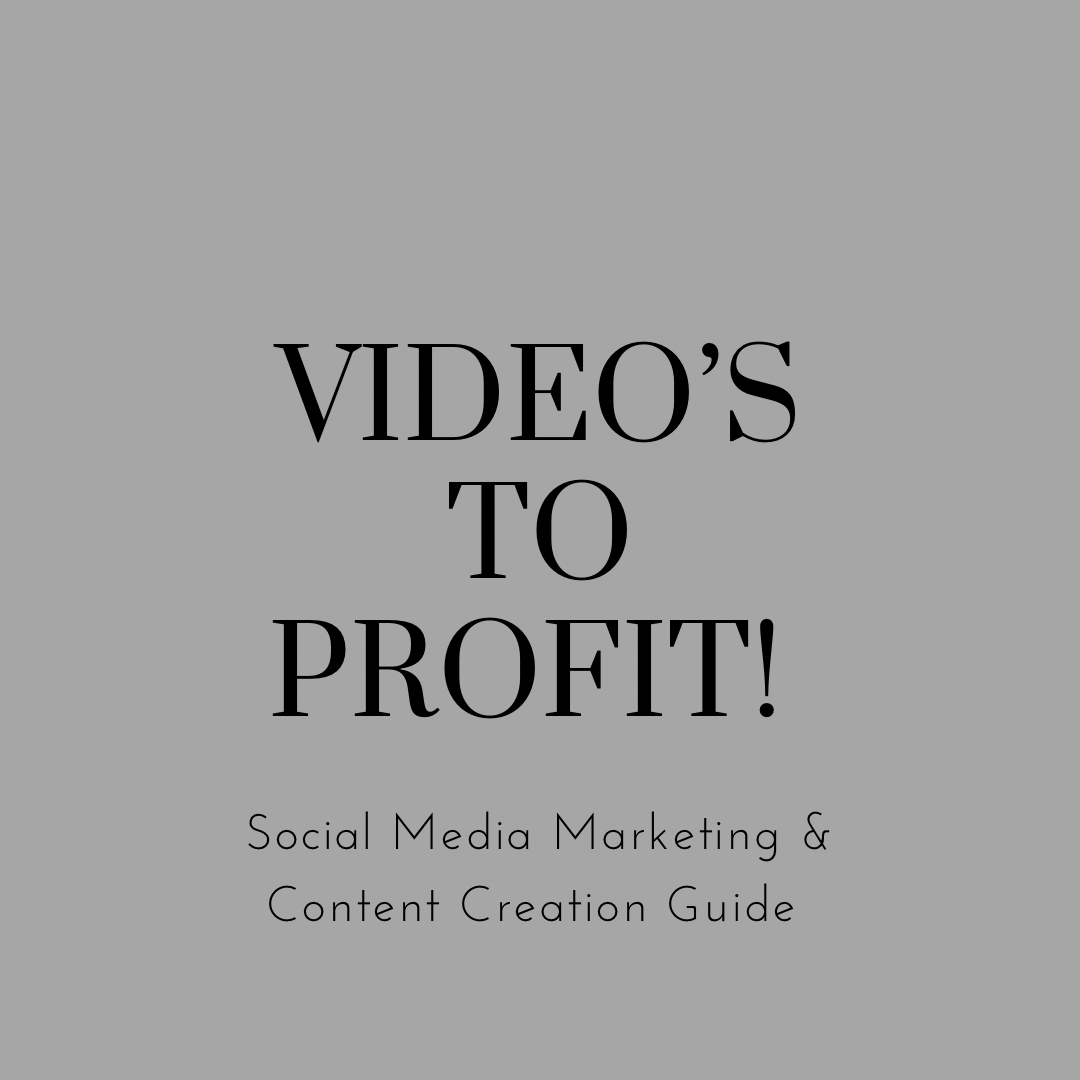 Videos to Profit Live Course